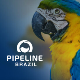 Pipelinebrazil
